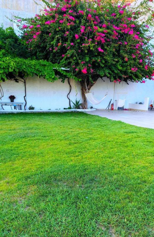 Aparthotel Alta Vista Naxos Naxos City Exterior foto
